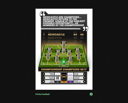 Newcastle United 16/17 Team Lineup Art Print